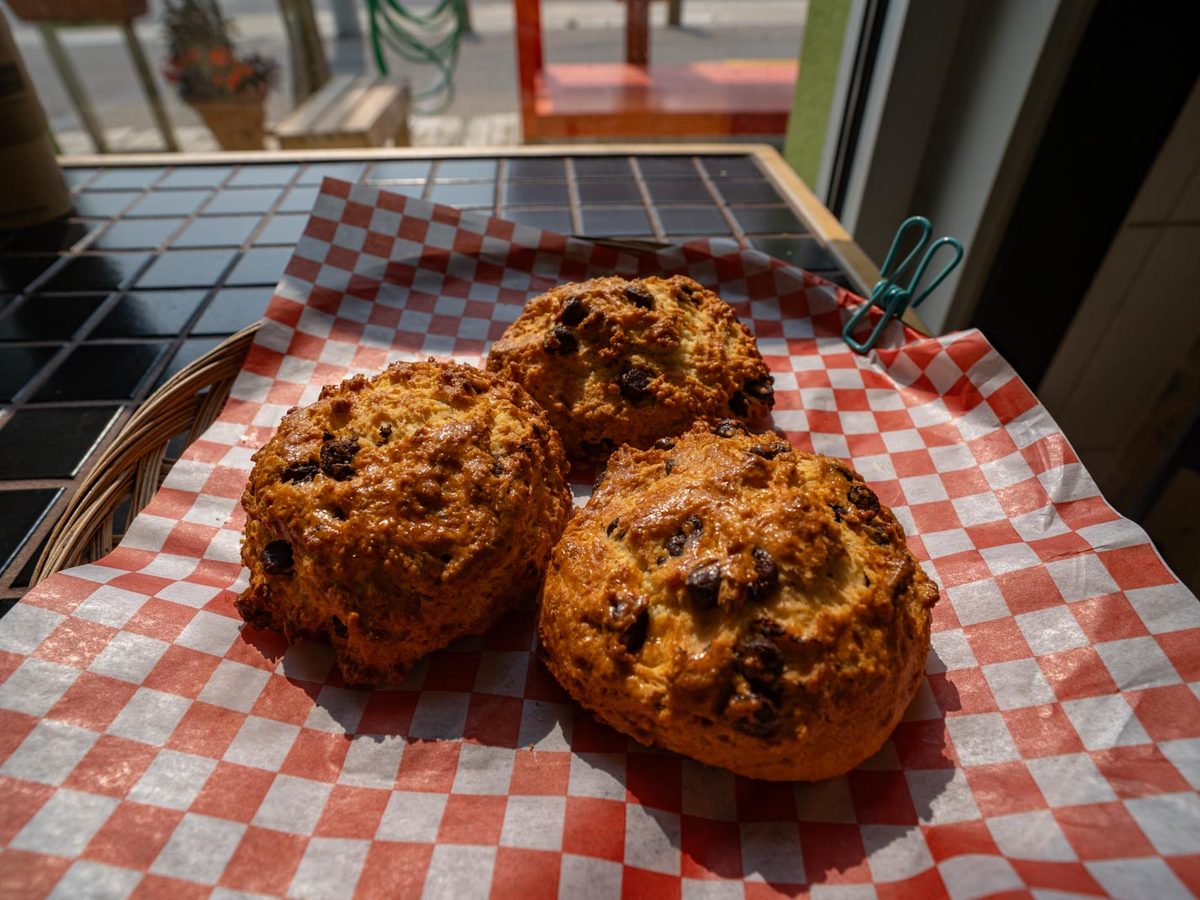 Chocolate chip scones on checked paper in the window light
